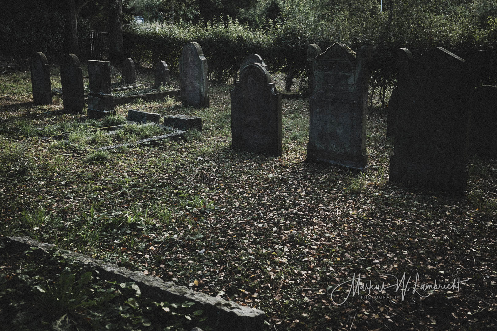 Lauenförde, Jüdischer Friedhof